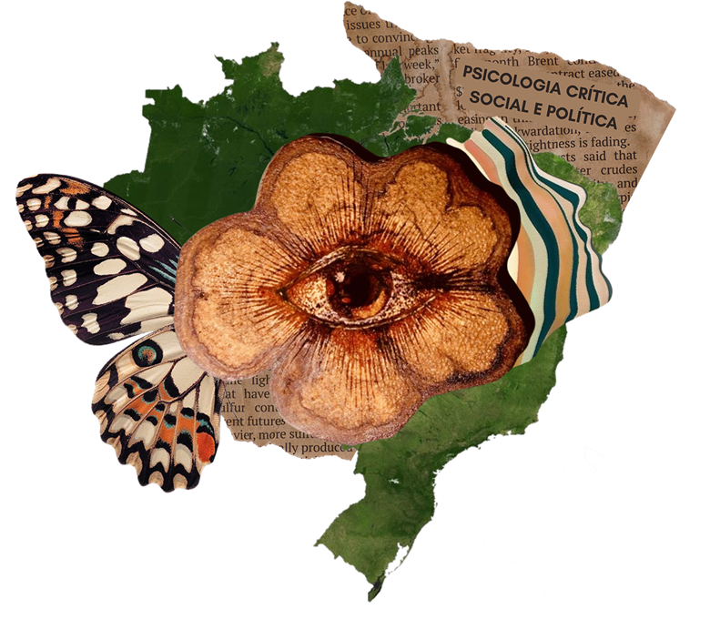 Uma asa de borboleta simbolizando transformação